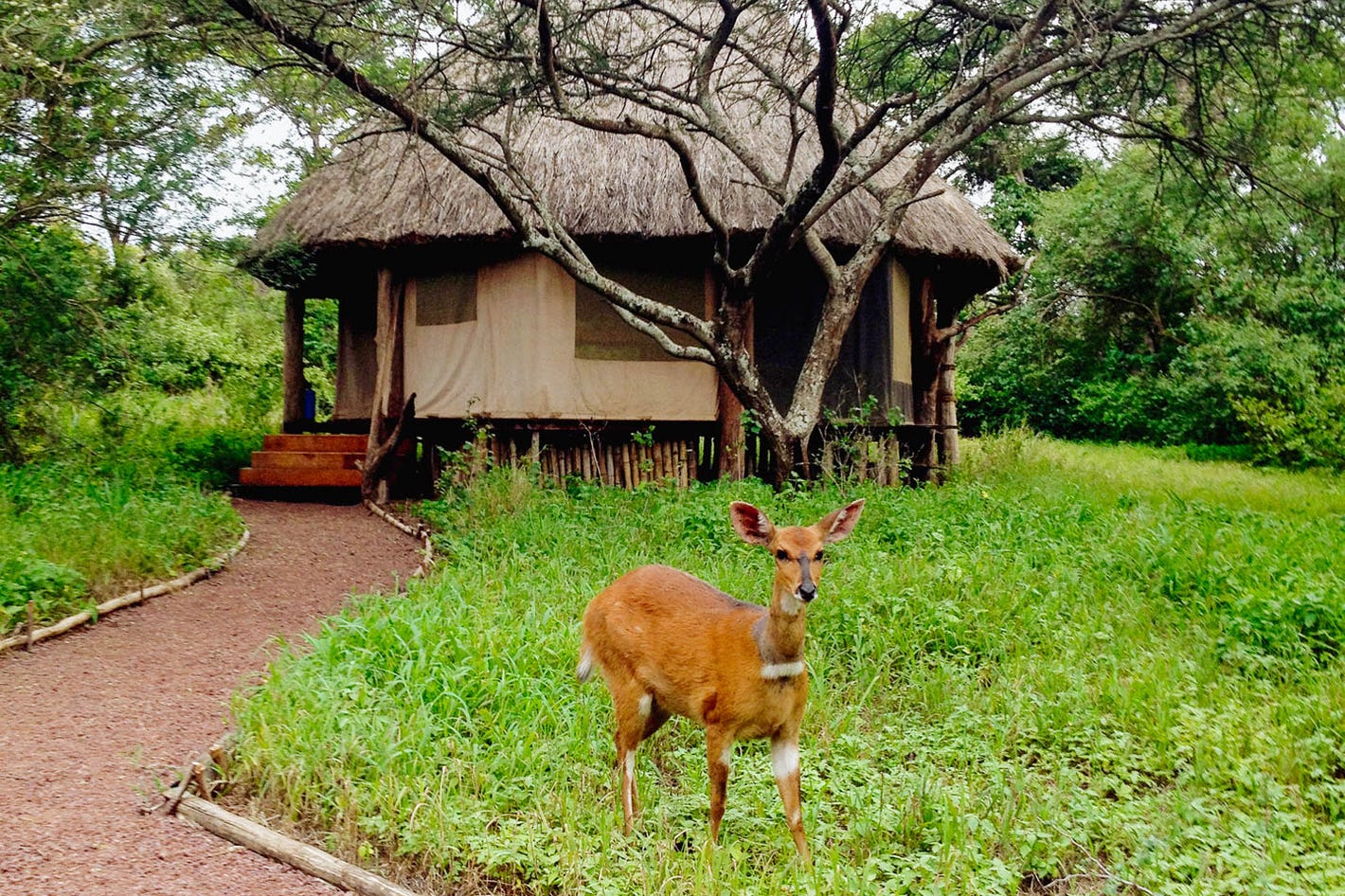 Ndarakwai ranch camp