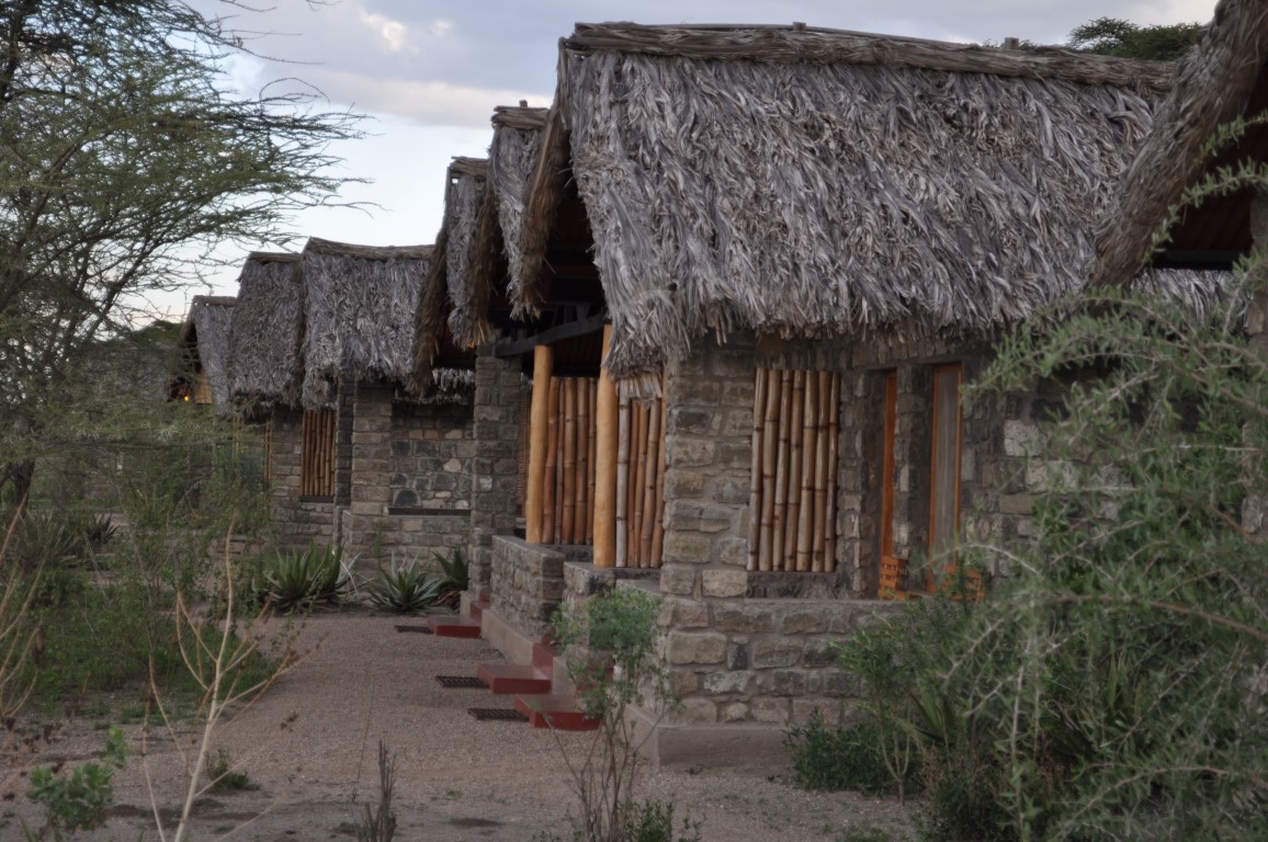 Ndutu safari lodge