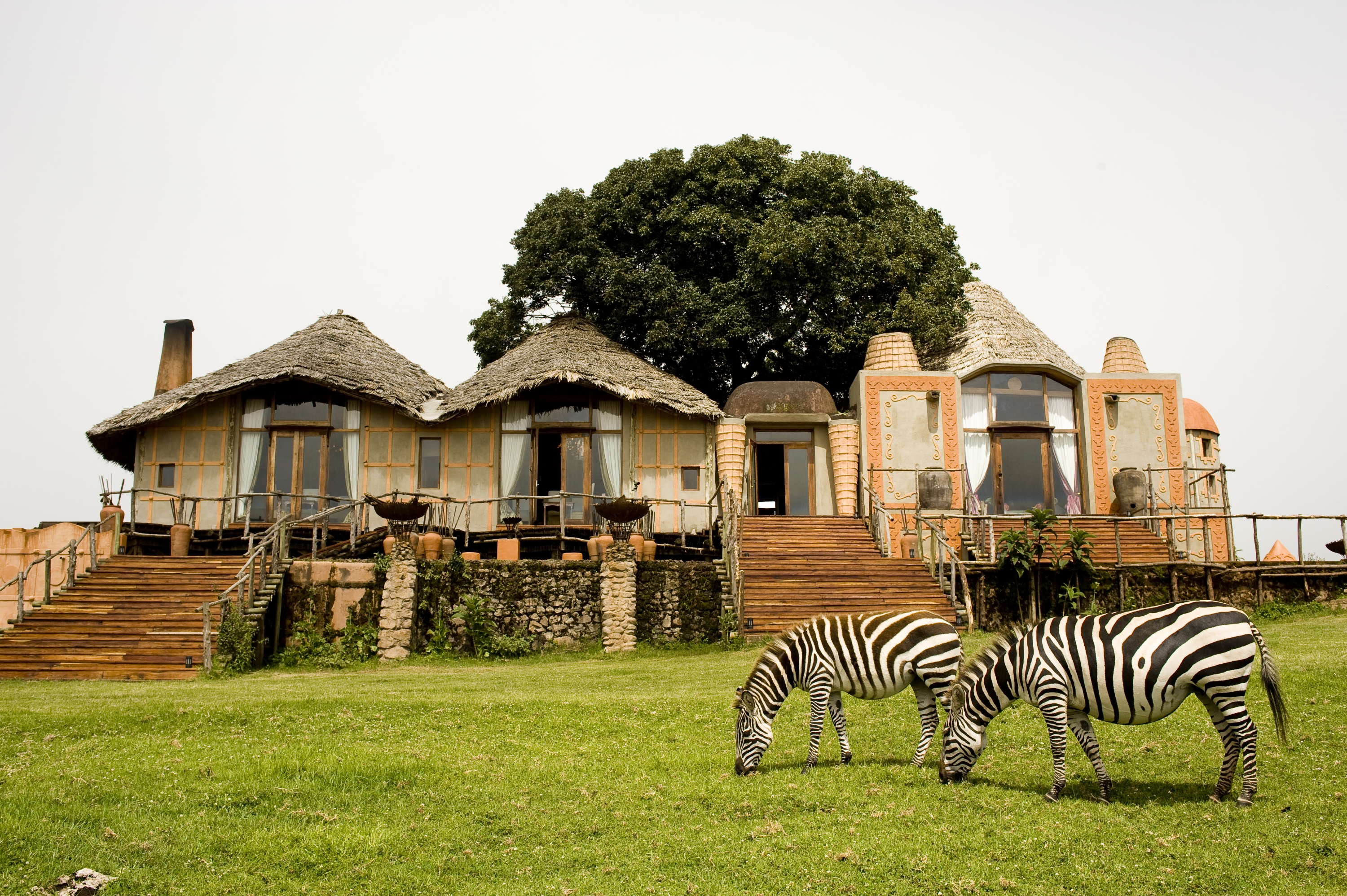 Ngoro ngoro crater lodge