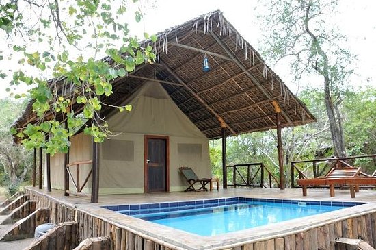 Selous riverside safari camp