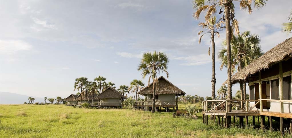 Nimali tarangire lodge