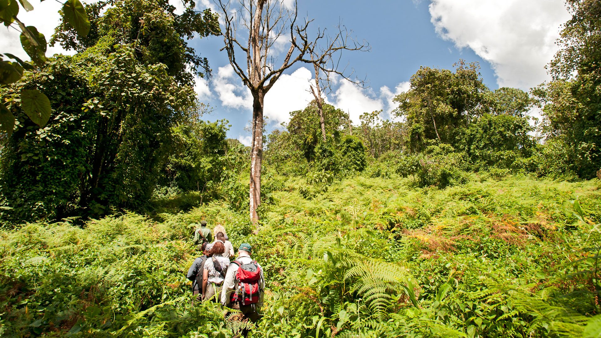 4 Days mahale mountains national park