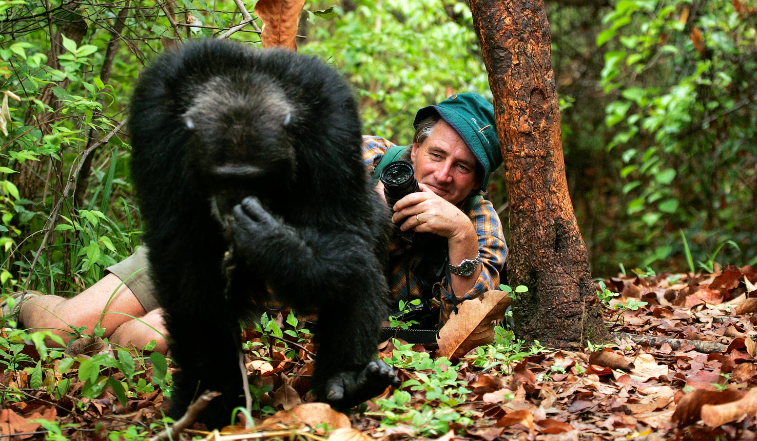 9 Days luxury western Tanzania chimp trekking and safari