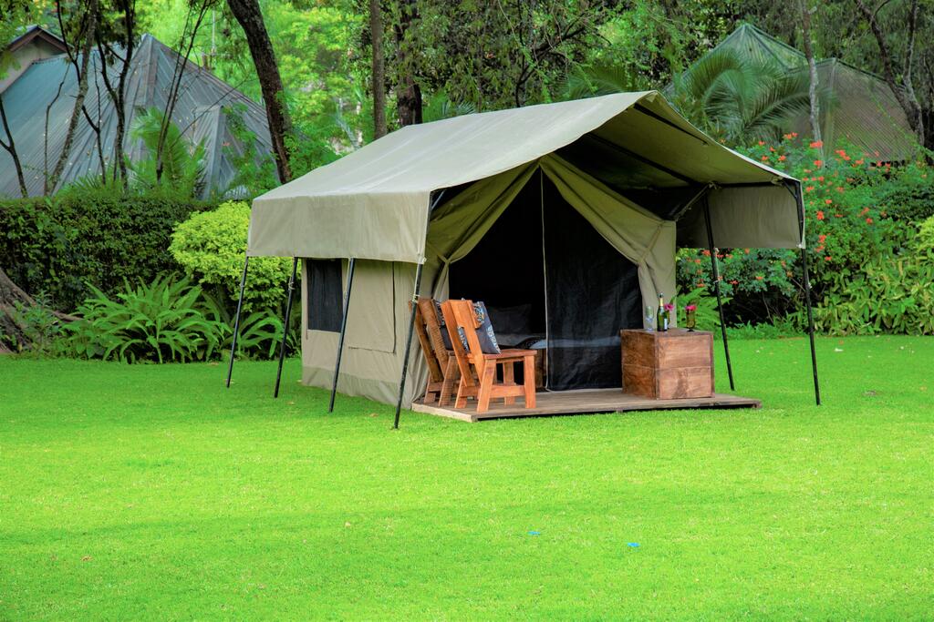 Camping safaris