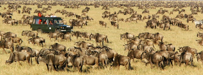 12 days luxury Kenya and Tanzania Wildlife Safari