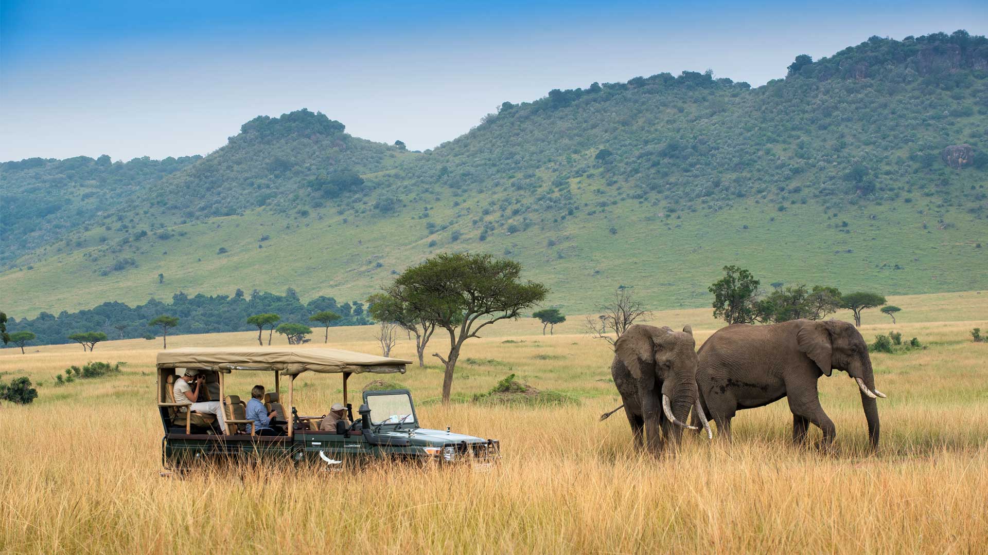 14 days Safari in Kenya & Tanzania