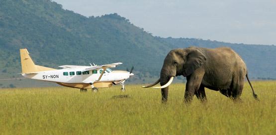 5 Days flying safari tours tanzania wildlife safari adventures in tanzania