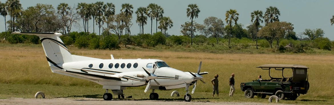 7 Days safari fly in serengeti ngoro ngoro crater and lake manyara