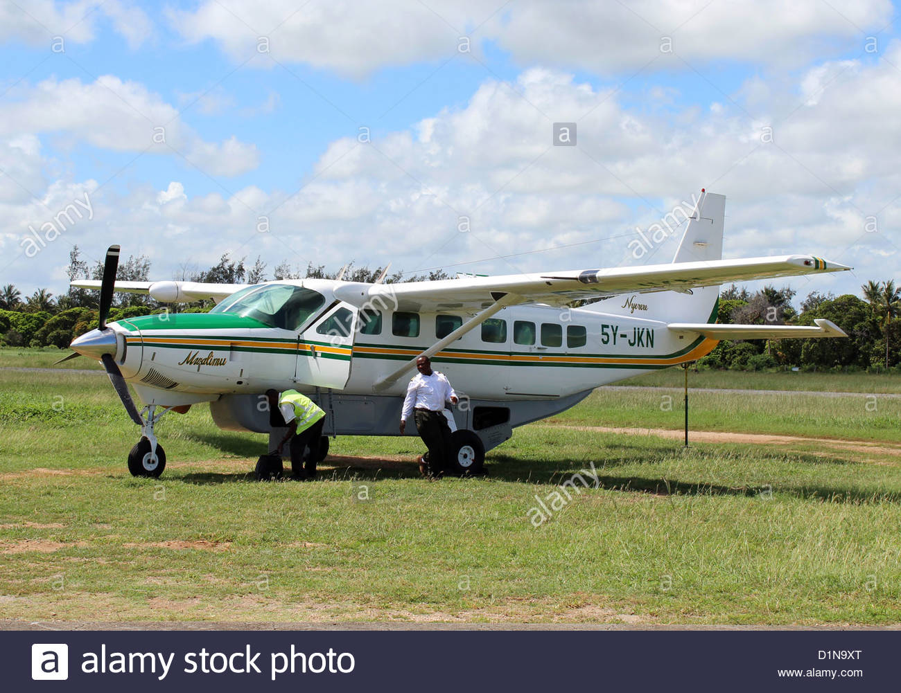 8 Days tanzania fly in tarangire highlands migration