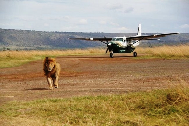 FLYING SAFARIS