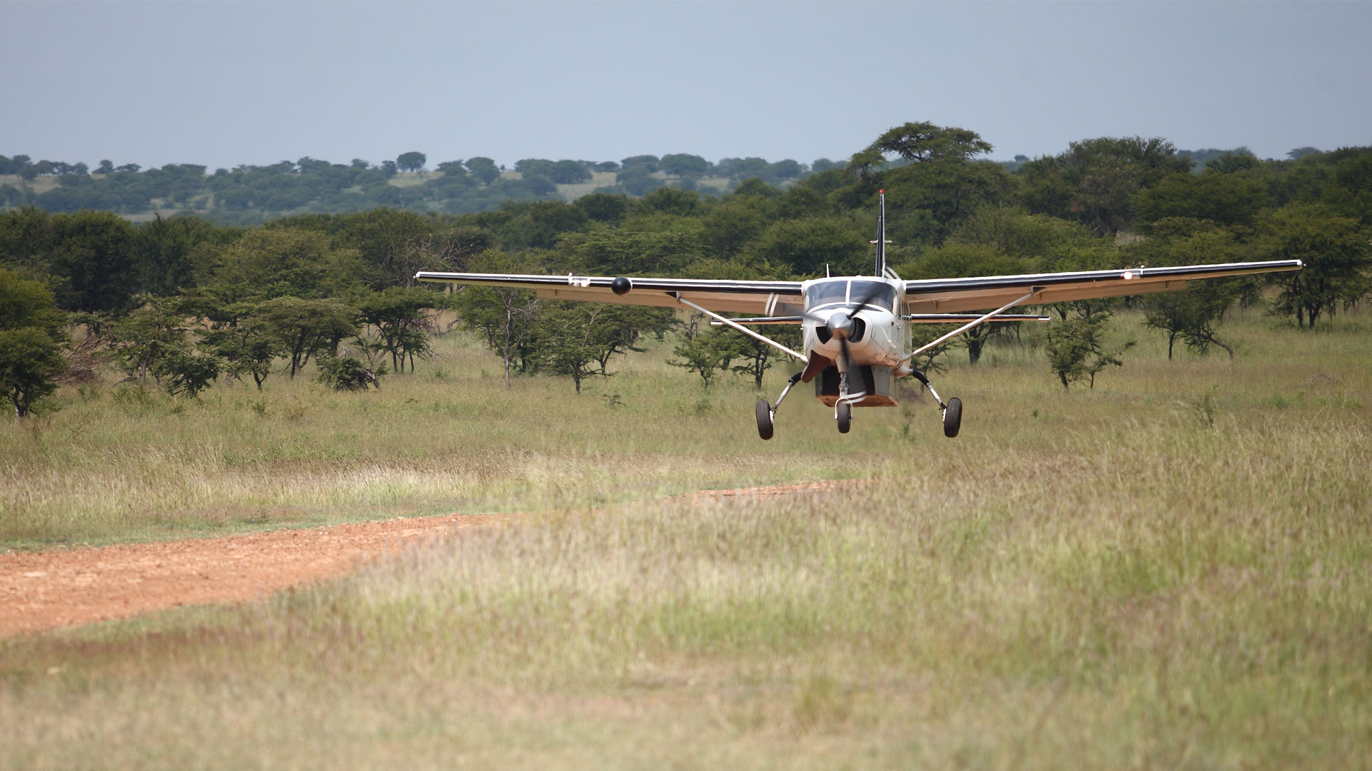 FLYING SAFARIS