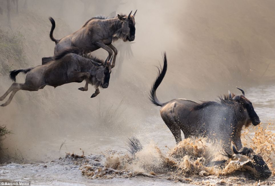 5 Days Wonderful Serengeti Great Migration Safari