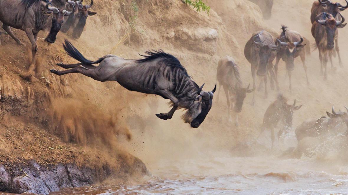 9 Days Explore Serengeti Wildebeest Migration Safari