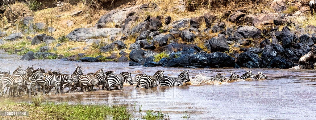 10 DAYS SERENGETI WILDEBEEST MIGRATION SAFARI