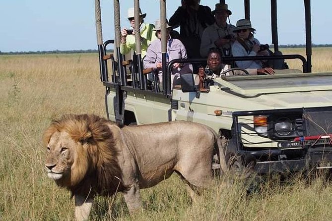 Big five safaris