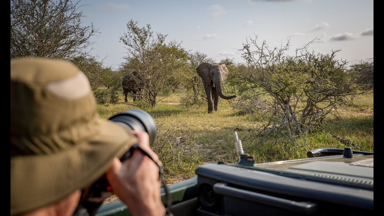 10 Days northern Tanzania photographic safari