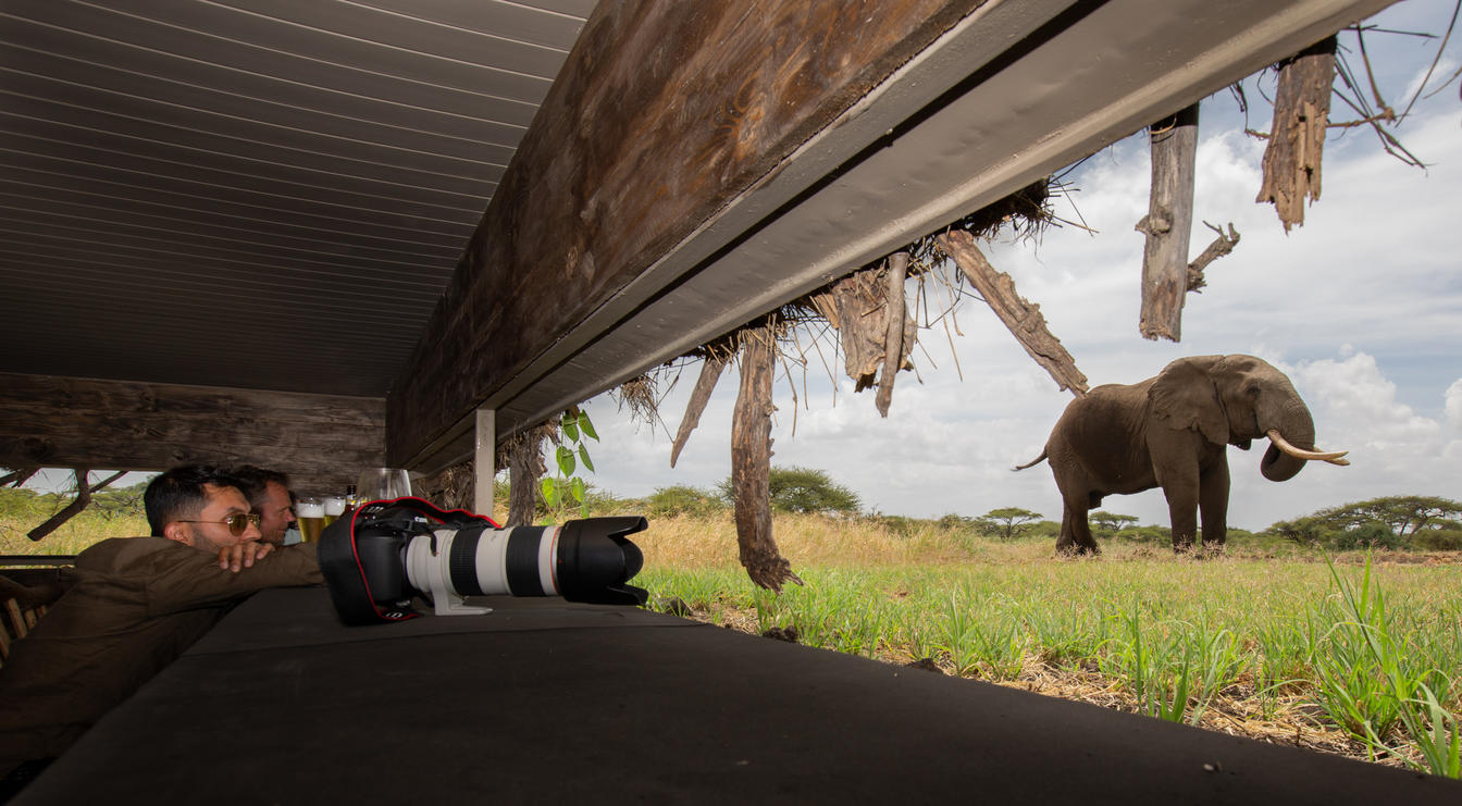 10 Days photography predators migration