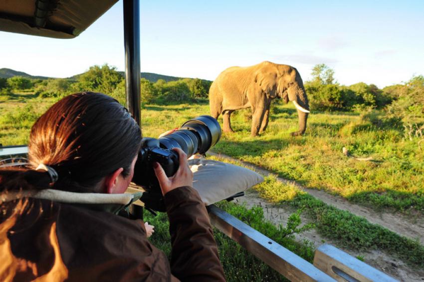 Photographic safaris to tanzania