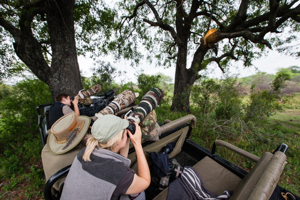 Photographic safaris to tanzania