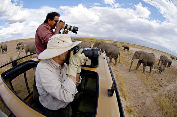 Photographic safaris to tanzania
