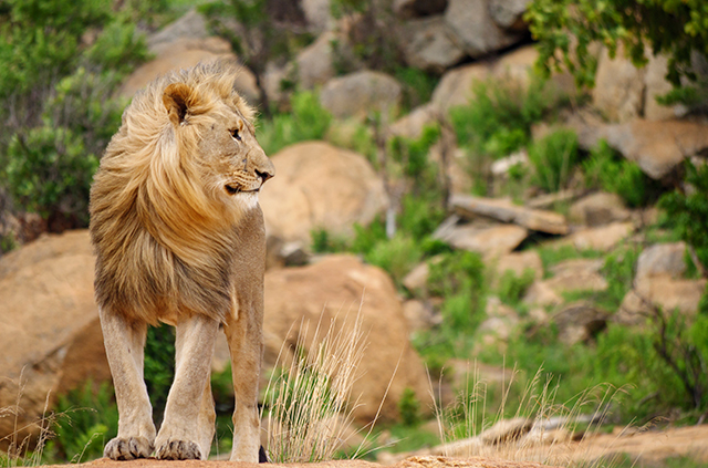 ARUSHA NATIONAL PARK