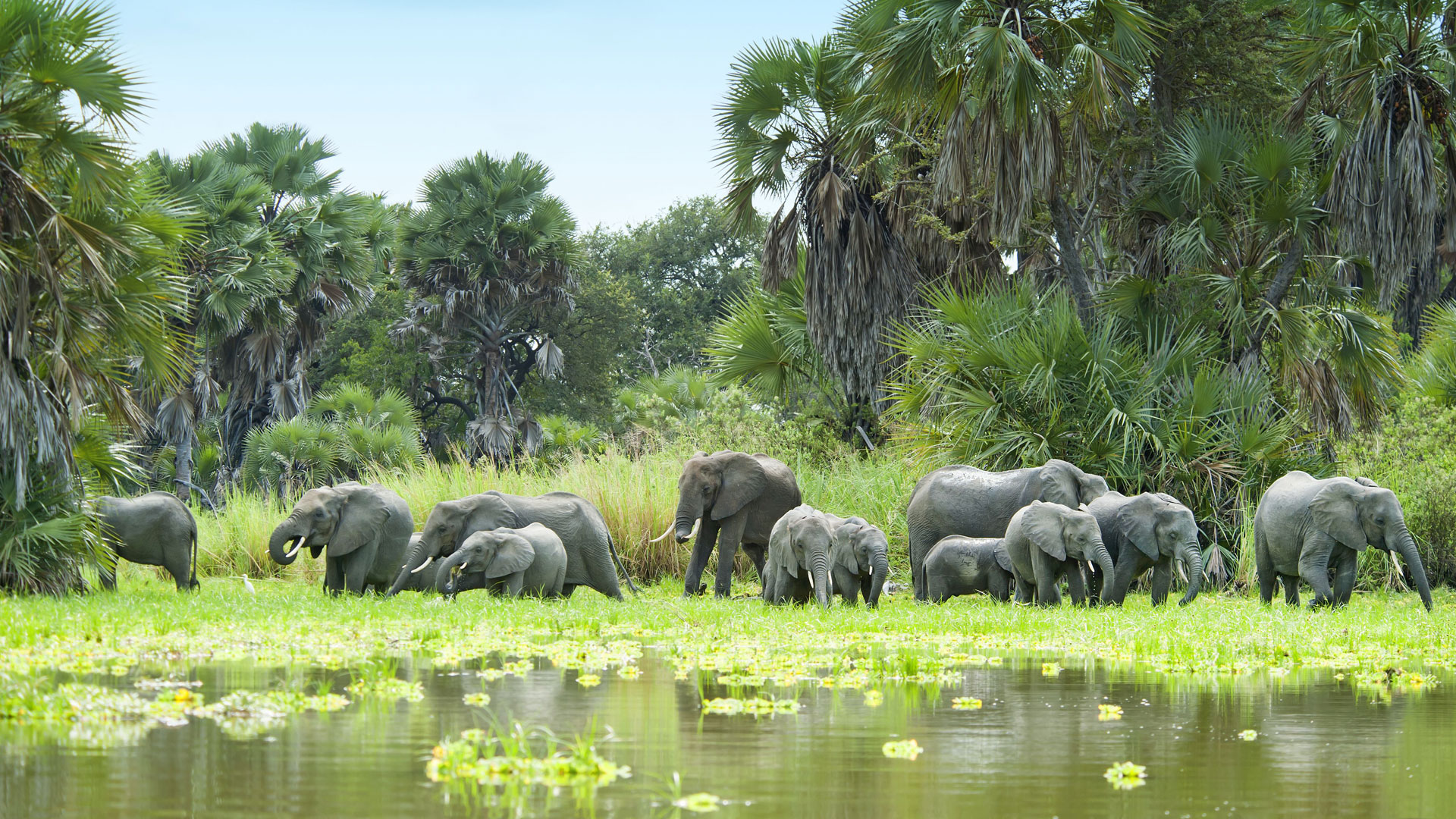 ARUSHA NATIONAL PARK