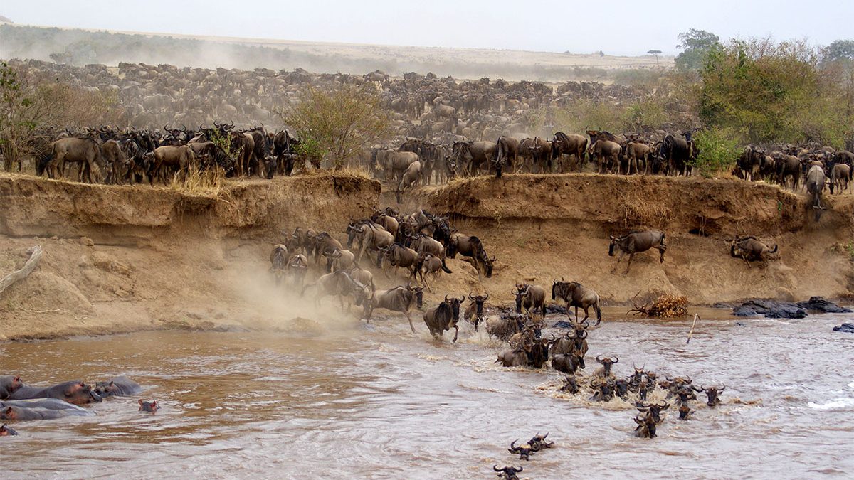 SERENGETI NATIONAL PARK