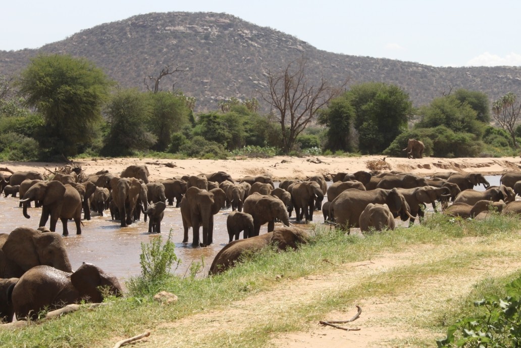 MAASAI MARA NATIONAL RESERVE