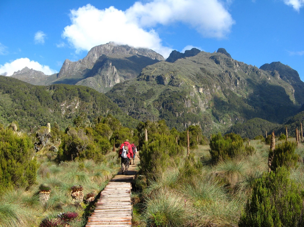 QUEEN ELIZABETH NATIONAL PARK