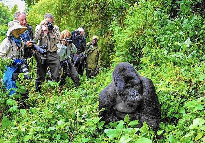 RWENZORI MOUNTAINS NATIONAL PARK