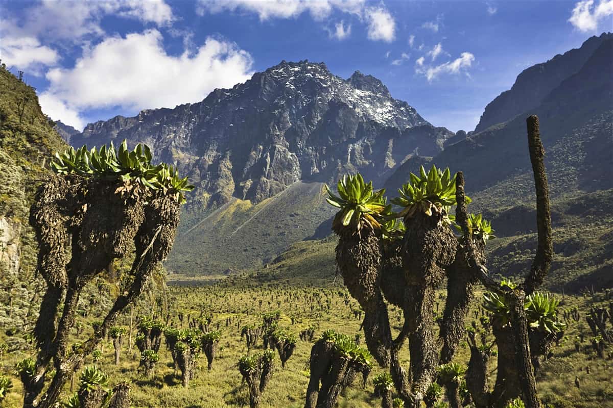 TSAVO EAST AND WEST NATIONAL PARK