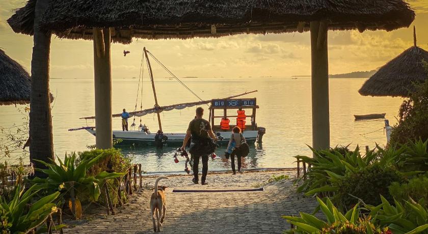 Pemba remote little developed island with amazing diving