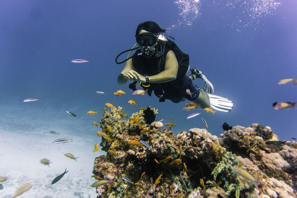 Pemba remote little developed island with amazing diving