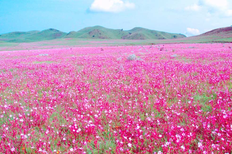 NGORONGORO CONSERVATION AREA