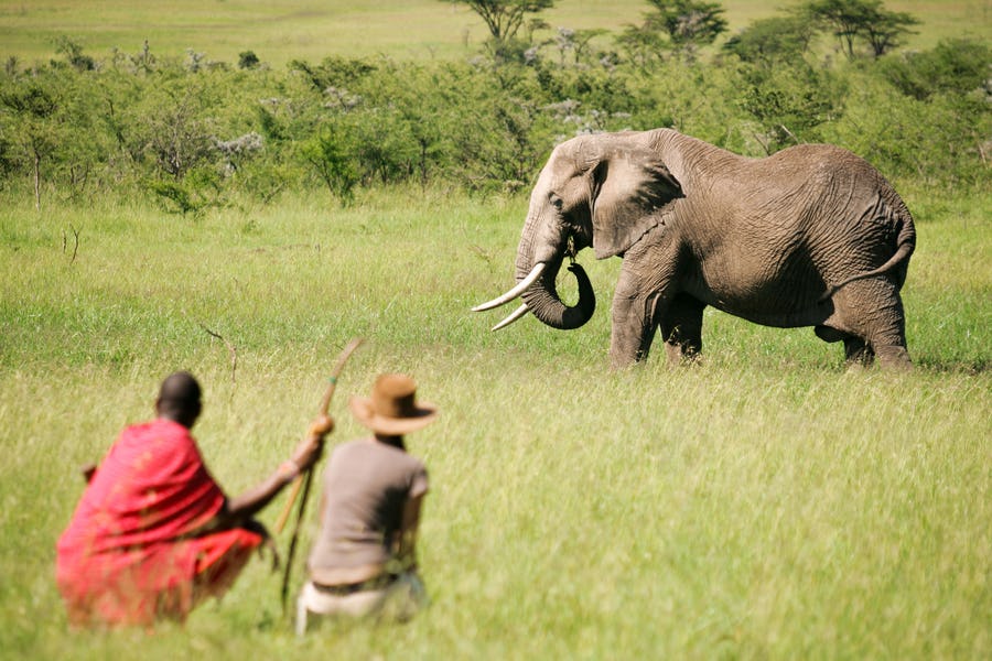 EAST AFRICA SOLO AFRICAN SAFARIS