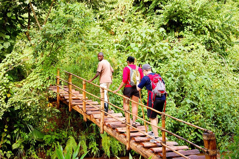 Uganda hiking