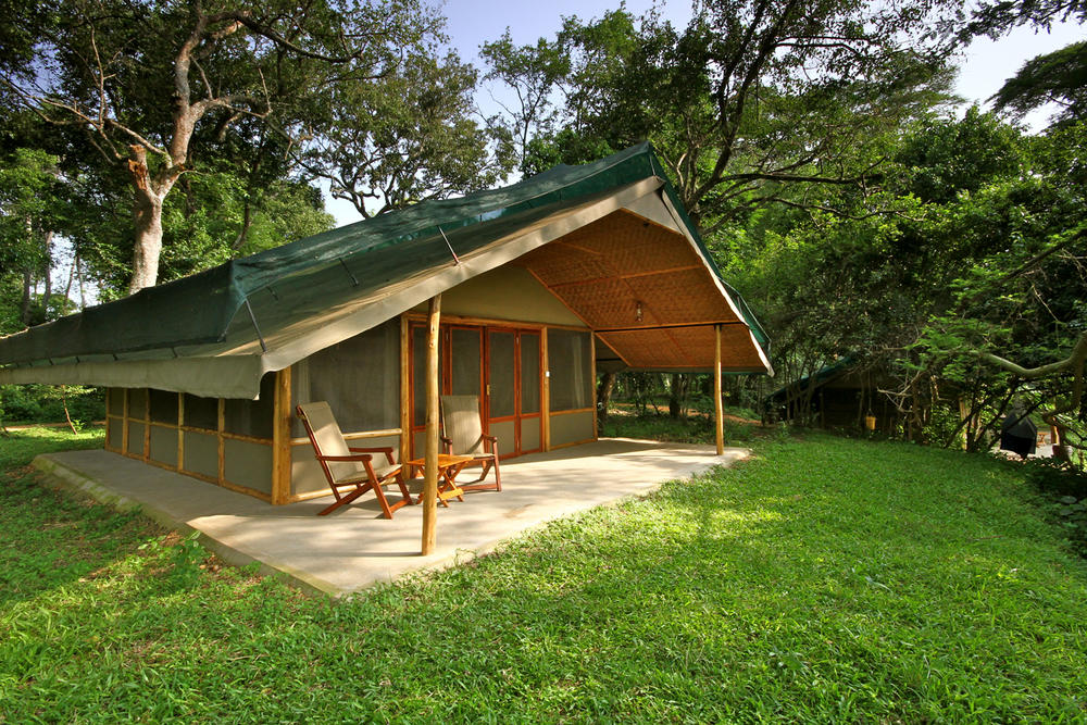 Ishasha wilderness camp