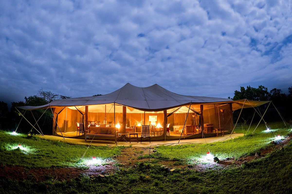 Tembo budget safari lodge