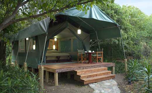 Tembo budget safari lodge