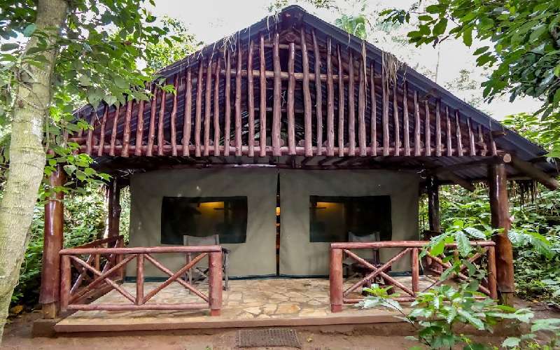 Kibale forest camp