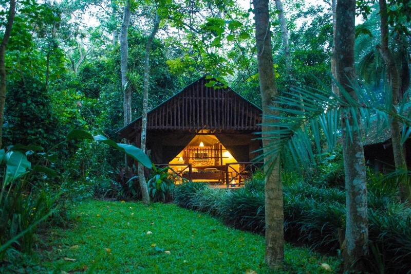 Kibale forest camp