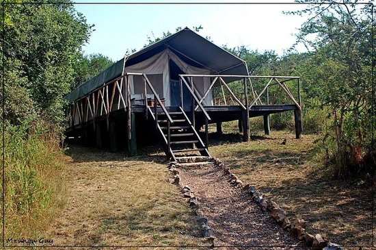 Lake mburo camp