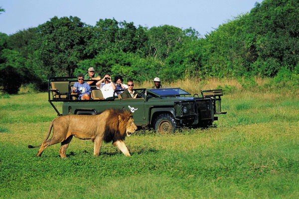 Uganda tours and accommodation