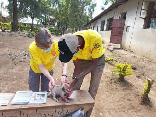 Tanzania volunteer projects