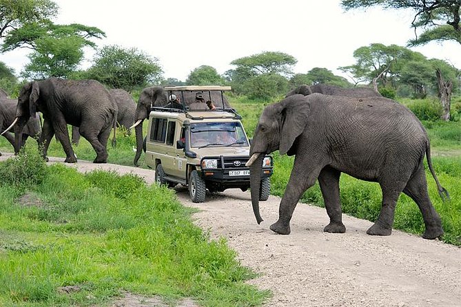 DAY TRIP TOURS