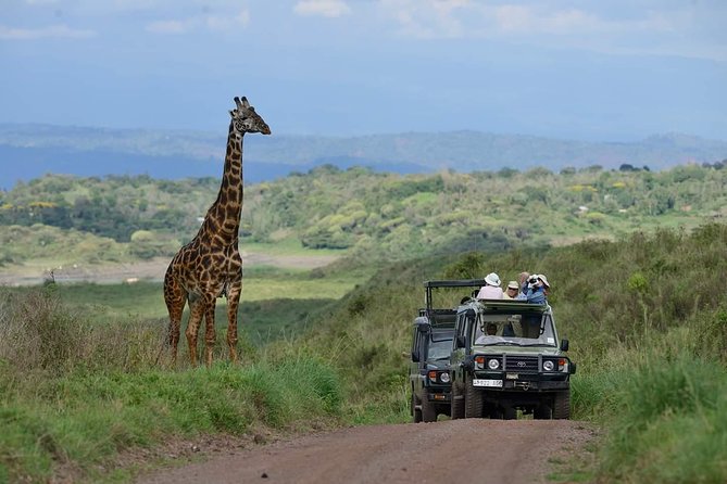 Ngorongoro Crater Day Tour