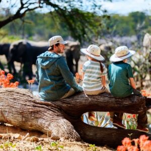 DAY TRIP TOURS