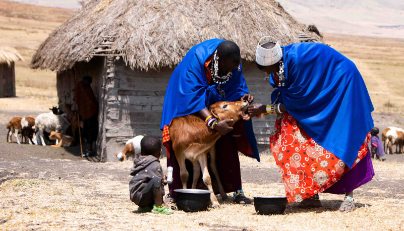 5 Days tanzania cultural safari