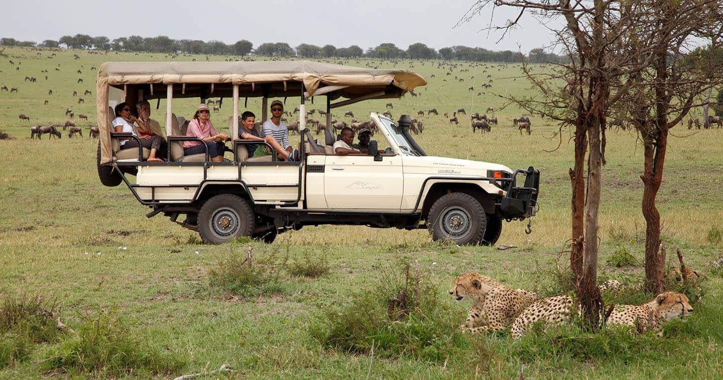 4 Days budget camping walking safari in tanzania