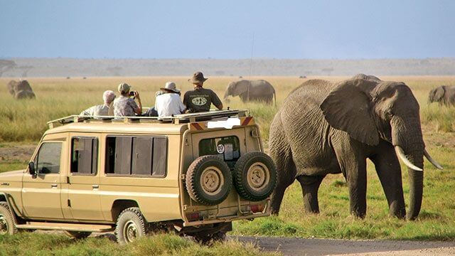4 Days 3 nights safari in north tanzania